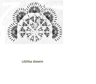 Ruumilise liblika skeem